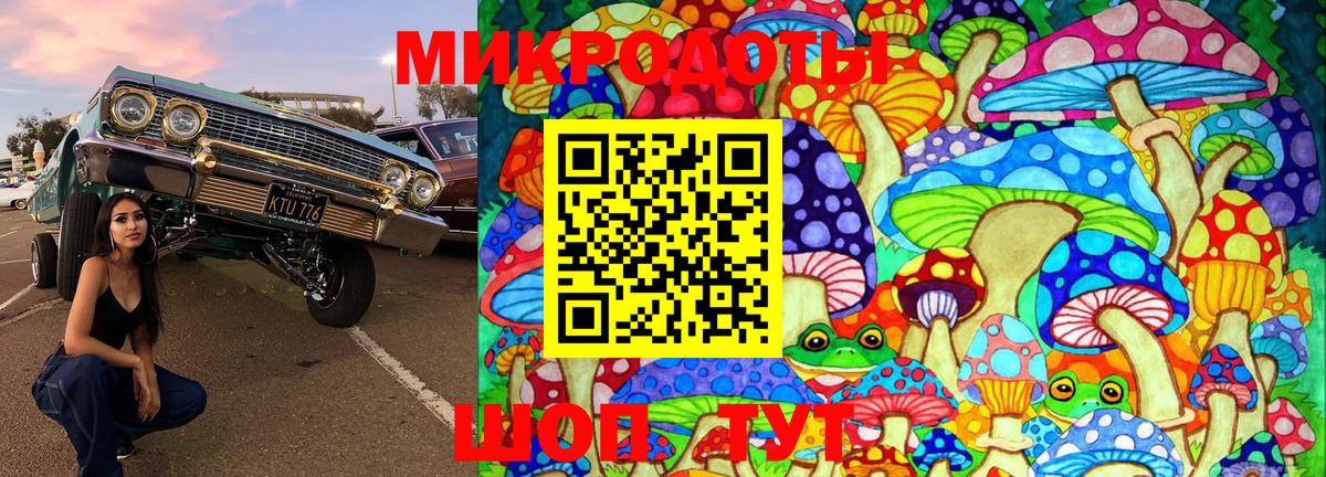 Киров  сколько стоит  Вход с VPN  Псилоцибиновые грибы Cubensis 