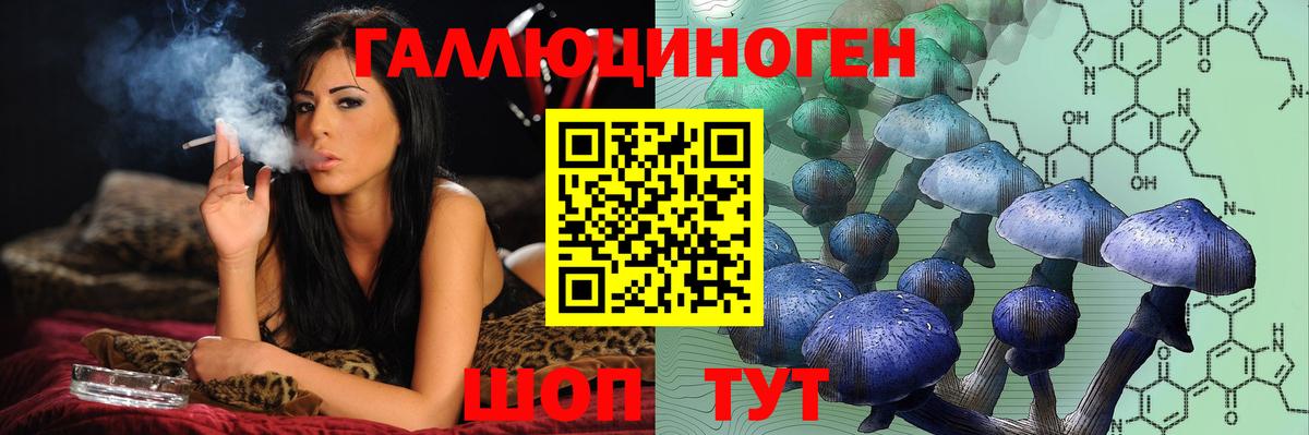Псилоцибиновые грибы Cubensis Киров